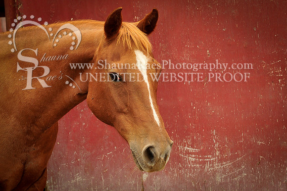 9.21.14Richardson-2