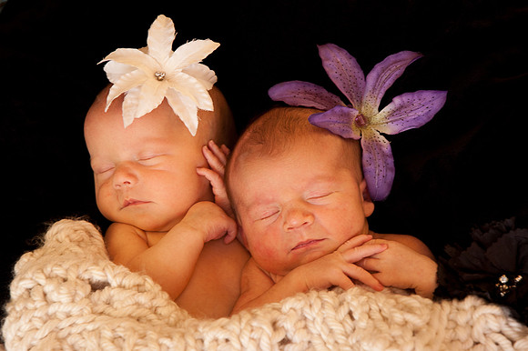Newborns | www.ShaunaRaesPhotography.com