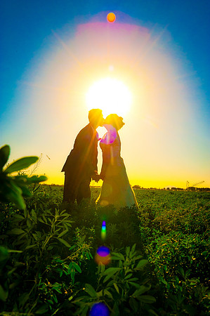 Weddings | www.ShaunaRaesPhotography.com