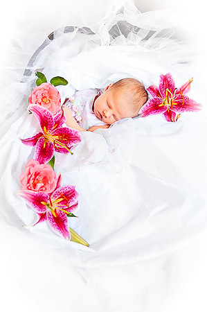 Newborns | www.ShaunaRaesPhotography.com