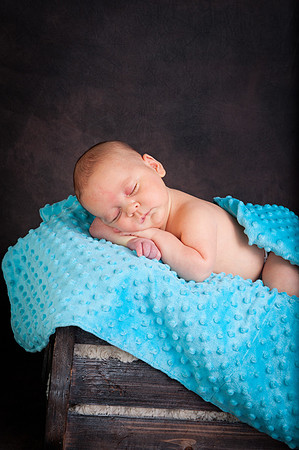 Newborns | www.ShaunaRaesPhotography.com