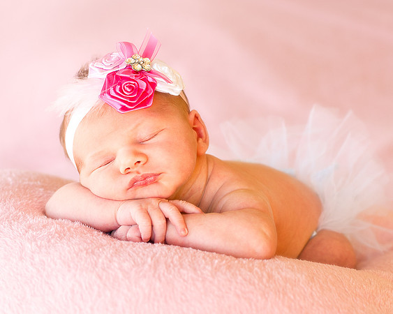 Newborns | www.ShaunaRaesPhotography.com