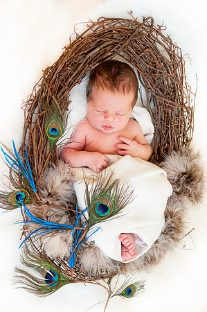 Newborns | www.ShaunaRaesPhotography.com