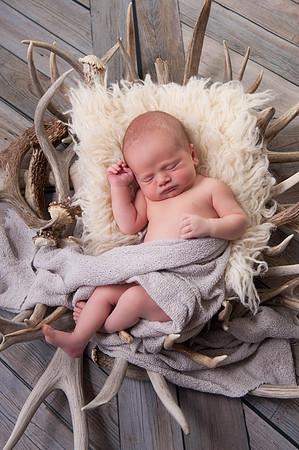 Newborns | www.ShaunaRaesPhotography.com