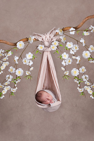 Newborns | www.ShaunaRaesPhotography.com