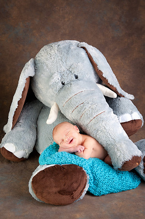 Newborns | www.ShaunaRaesPhotography.com