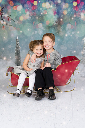 Christmas Mini | 2017