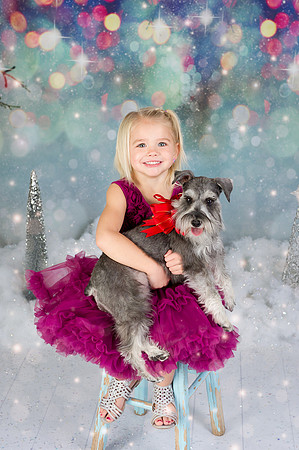 Christmas Mini | 2017
