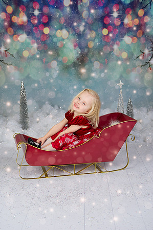 Christmas Mini | 2017