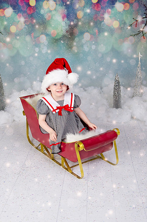 Christmas Mini | 2017