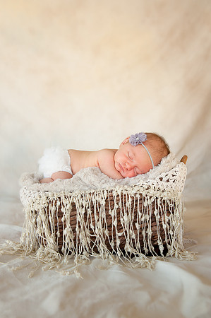Newborns | www.ShaunaRaesPhotography.com