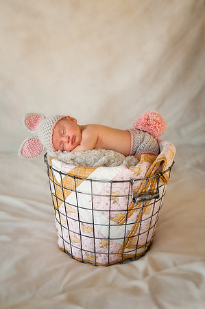 Newborns | www.ShaunaRaesPhotography.com