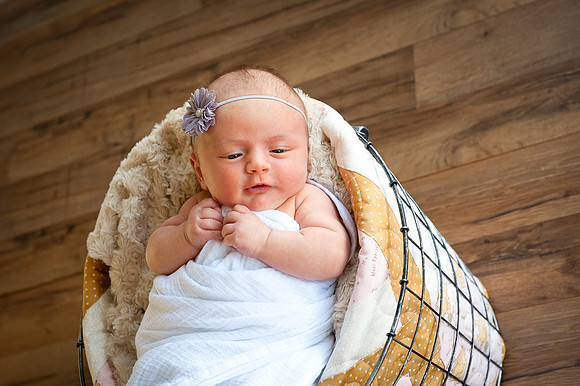 Newborns | www.ShaunaRaesPhotography.com