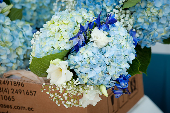 Weddings | www.ShaunaRaesPhotography.com