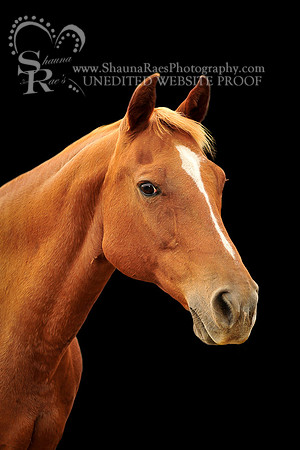 RichardsonBlack-1