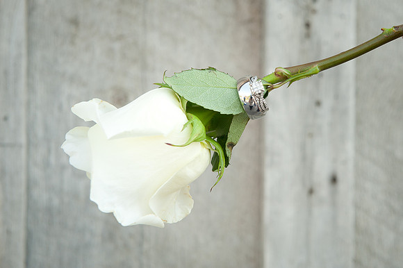 Weddings | www.ShaunaRaesPhotography.com