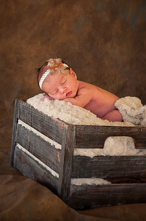 Newborns | www.ShaunaRaesPhotography.com